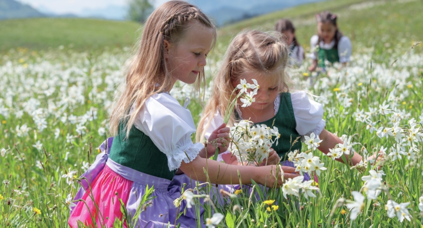GZFNARZ  Haupt _C_Martin Huber - Narzissenfest
